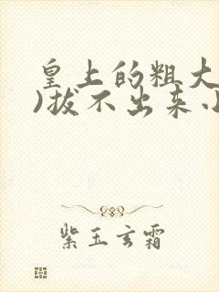 皇上的粗大(h)拔不出来小说