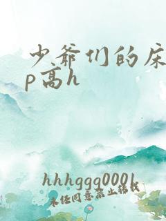 少爷们的床奴np高h