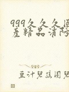 999久久久国产精品消防器材