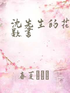 沈先生的花式调数书