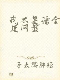 我不是潘金莲百度网盘