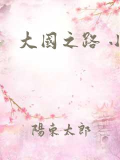 大国之路 小说