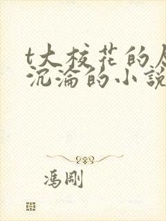 t大校花的屈辱沉沦的小说