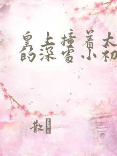 皇上撞着太子妃的深处小初