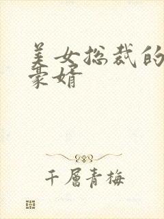 美女总裁的顶级豪婿