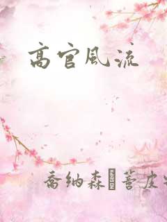高官风流