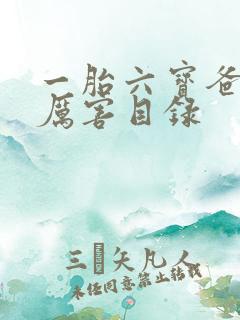 一胎六宝爸比好厉害目录