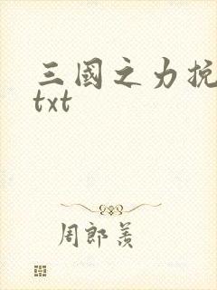 三国之力挽狂澜txt