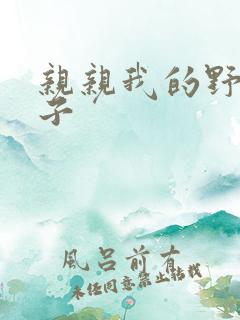 亲亲我的野猪王子