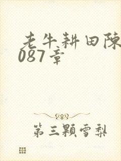 老牛耕田陈雪1087章