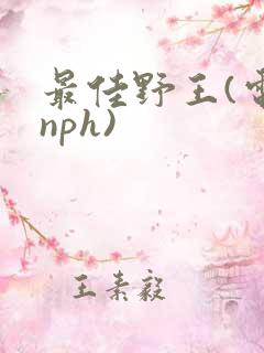 最佳野王(电竞nph)