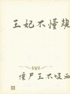 王妃不懂规矩