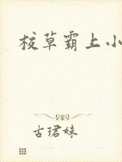 校草霸上小丫头