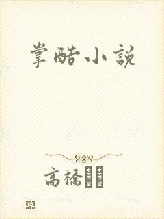 掌酷小说