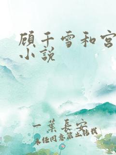 顾千雪和宫凌沨小说