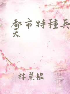 都市特种兵 任天