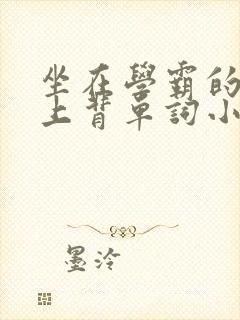 坐在学霸的棍子上背单词小说