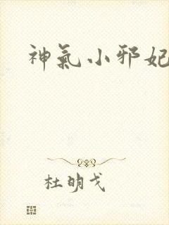 神气小邪妃