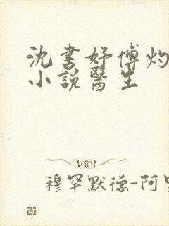 沈书妤傅灼抖音小说医生