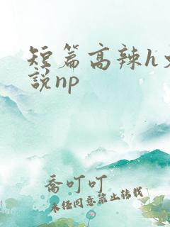 短篇高辣h文小说np