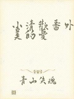 小清欢番外篇完美的爱