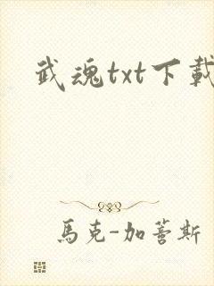 武魂txt下载