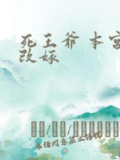 死王爷 本宫已改嫁