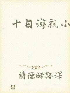 十日游戏小说