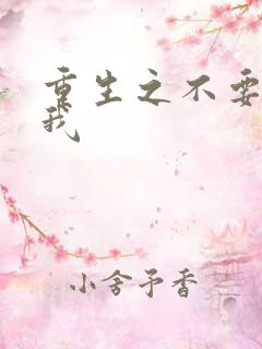 重生之不要爱上我