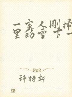 一家人刚扫完院里的雪 下一秒白干