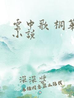 云中歌 桐华 小说