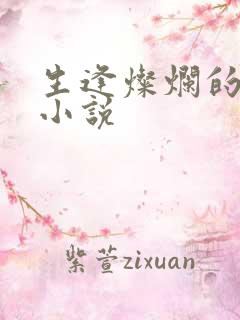 生逢灿烂的日子小说