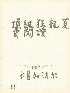 顶级狂龙夏天免费阅读