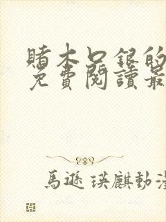 赌木口银的小说免费阅读最新