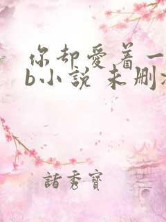 你却爱着一个sb小说 未删减完整版百度云