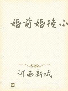 婚前婚后小说