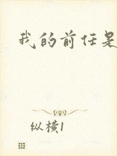 我的前任是极品