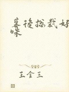 幕后总裁好孕妈咪