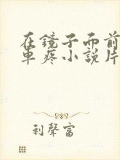 在镜子面前做开车疼小说片段