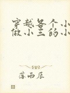 穿越各个小世界做小三的小说