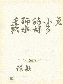 老师的小兔子好软水好多