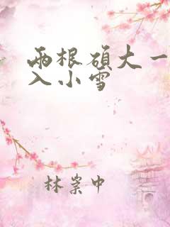 两根硕大一起挤入小雪