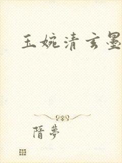 玉婉清玄墨小说