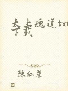 太上魂道txt下载