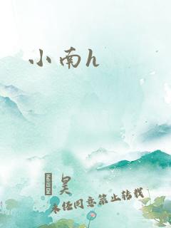 小南h