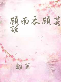 顾南衣顾芸沐小说