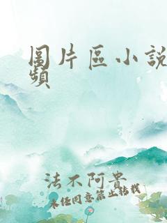 图片区小说区视频