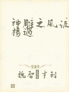 神雕之风流浪子杨过