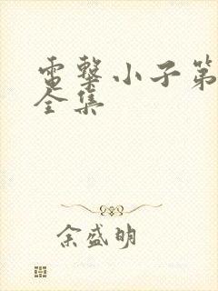 电击小子第二部全集