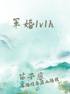 军婚1v1h